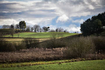 Obraz premium landscape with trees