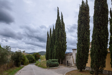 Friedhof mit Zypressen im Vordergrund, vor Wolken und mit toskanischen Hügeln im Hintergrund