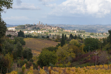 Blick über Weinberge in Herbstfarben und Bäume auf San Gimignano im Hintergrund in der Toskana