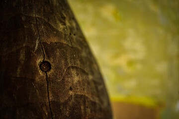 close up of a wooden barrel