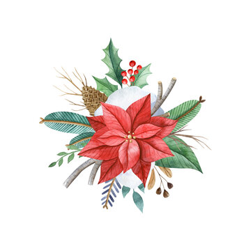 Watercolor illustration with festive bouquet of poinsettia, mistletoe, fir-tree branches, holly, isolated on white backdrop.  Christmas floral composition.  Clipart for greeting cards and invitations.