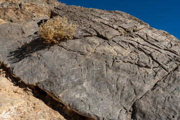 Graffiti and Petroglyphs Carved On Stone In Titus Canyon