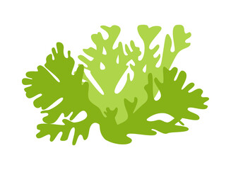 Green moss ( lichen )on a white background for design