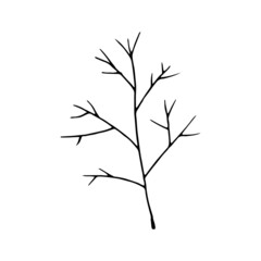 Obraz premium Hand drawn doodle leaf. Vector clipart with branch.