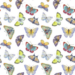 Seamless botanical pattern of a butterfly on a white background. Watercolor painted butterflies. Abstract ornament for design, wallpaper, packaging, print, scrapbooking.