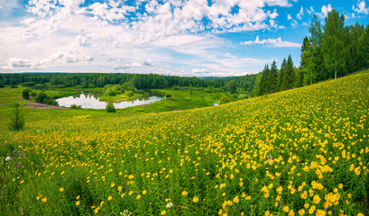 Summer panoramic landscape with wildflowers and trees on a wide meadow, a winding river and a forest in the distance, clouds in the blue sky.