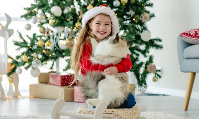 Child with ragdoll cat in Christmas time