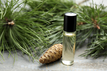 Pine essential oil, cone and branches on grey wooden table, closeup