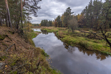 Autumn landscape with a small forest river. Cloudy weather in the forest Idyllic autumn landscape. Clean nature, ecology, seasons, environmental protection. Atmospheric and peaceful landscape