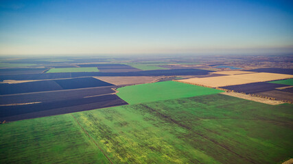 green sown fields in autumn in Russia