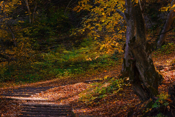 A thousand steps, Nalchik, Dolinsk Park, Kabardino-Balkaria