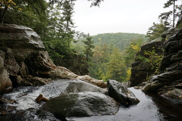 Green Mountain National Forest Vermont