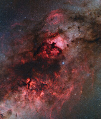 Cygnus Region in the milky way