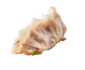  Single delicious chinese gyoza isolated on a white background