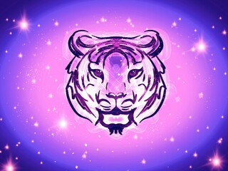 Tiger and the universe