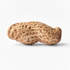 Obraz premium Single peanut with shell isolated on a white background
