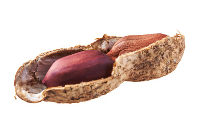  Middle peanut shell with peanuts isolated on a white background