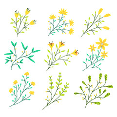 hand drawn decorative leaves floral elements