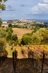 Blick über Weinberge in Herbstfarben und Bäume auf San Gimignano im Hintergrund in der Toskana