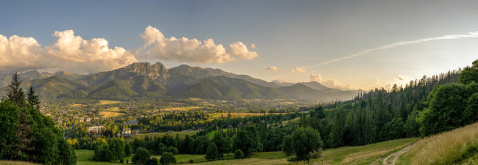 Panoramic landscape of a field with green grass trees and trail against giewont mountains covered with dramatic clouds located in Zakopane, Poland © Arpan