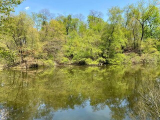 Lake in spring
