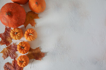 Fall decoration on th white background