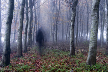 Obraz premium A blurred ghostly figure walking through a forest on a spooky, foggy winters day Cotswolds, UK.