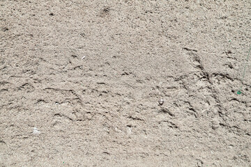 Concrete wall texture with rusty surface. Classic cement surface background