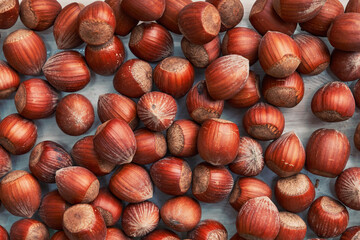 Healthy natural hazelnuts. Raw nuts texture