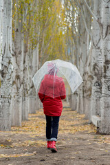 A girl walks and plays with a transparent umbrella in the park. Autumn. Atmosther.