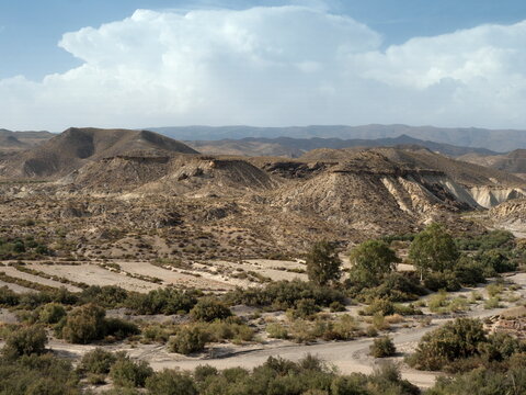 Wueste von Tabernas