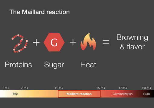 Explanation of the Maillard chemical reaction in cooking