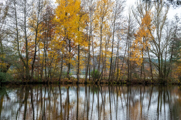 A pond landscape in autumn colors