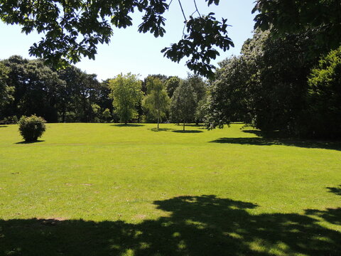 beautiful natural park in swansea. wales. clyne garden. plants and flowers and birds. 