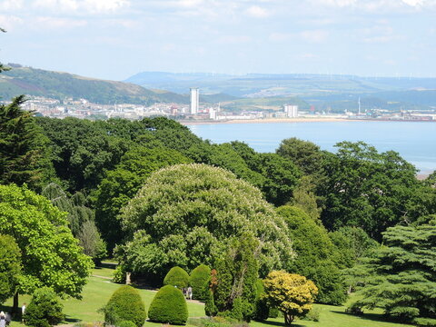 beautiful natural park in swansea. wales. clyne garden. plants and flowers and birds. 
