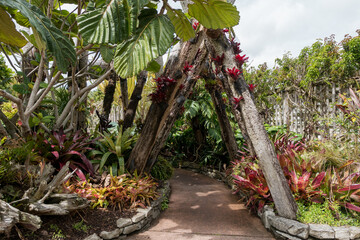 Auckland Botanic Gardens, located in Manurewa - obrazy, fototapety, plakaty
