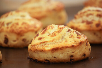 Delicious hot cinnamon roll without icing 