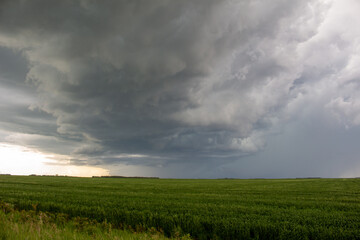 Stormy Skies