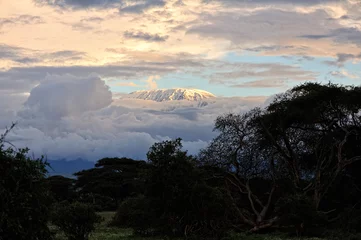 Cercles muraux Kilimandjaro A picture of the african landscape
