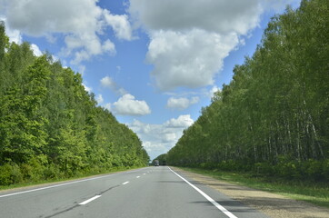 highway on both sides of which the forest grows