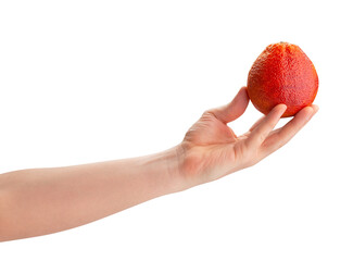 blood orange in hand path isolated on white