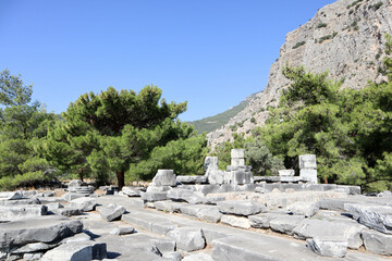 Fototapeta na wymiar ruins of the ancient city Priene in Turkey covered by pine forest