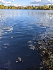 秋の初めの美しい湖