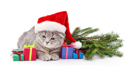 Kitten in a Santa hat with Christmas gifts.