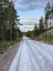 Obraz premium Country Road 4