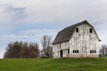 Obraz na płótnie Canvas Newark barn in Spring. Newark, IL..IL-090425-0005