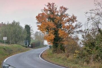 Fototapeta premium Autunno Oltrepo Pavaese
