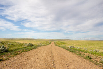 Fototapeta na wymiar Saskatchewan, Canada Badlands