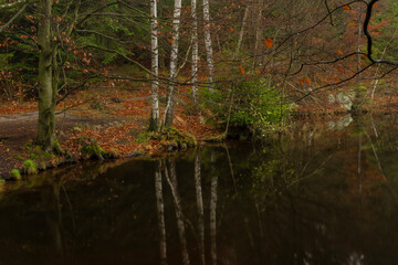 Obraz premium Hranicni pond in Luzicke mountains in autumn color wet morning