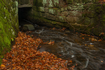 Hranicni pond in Luzicke mountains in autumn color wet morning